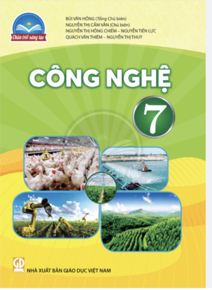 Ảnh đại diện